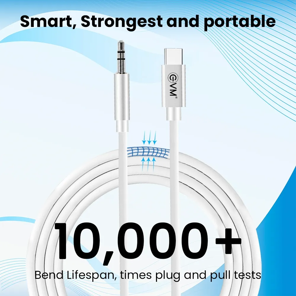 EVM Type-C to 3.5mm Aux Cable Silver view 4